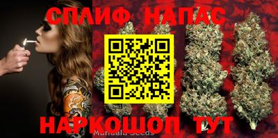 шишки Донецк