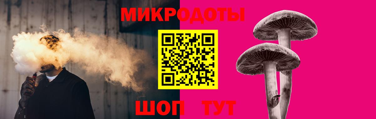 Галлюциногенные грибы Psilocybine cubensis Мичуринск